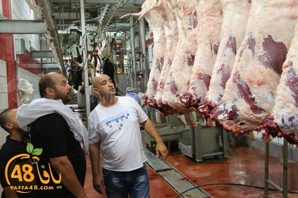 Jam3iya ada7ya (24).jpg